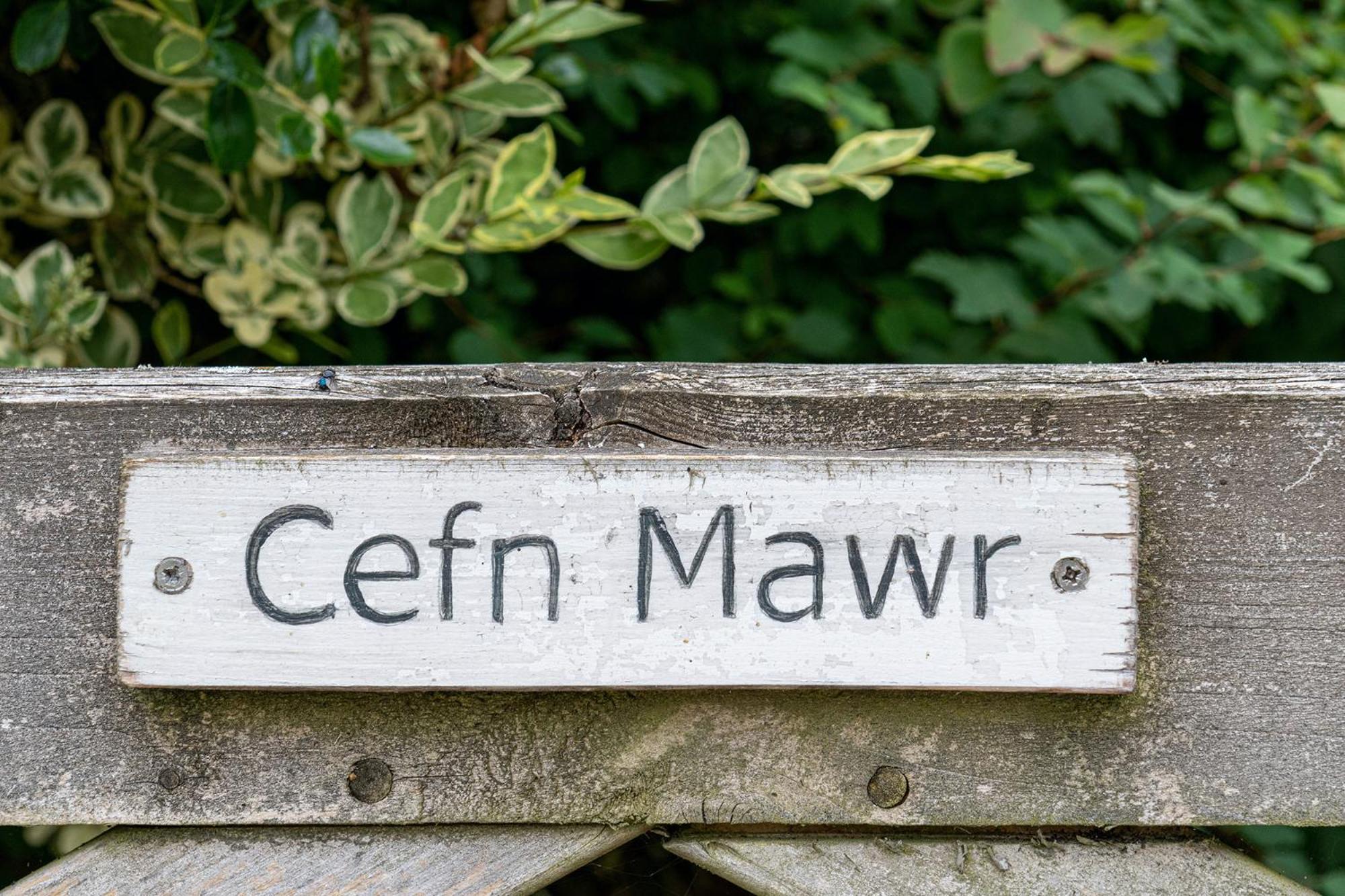 Вілла Cefn Ceiriog Лланголлен Номер фото